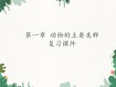 鲁科版（五四制）生物八年级上册 第七单元第一章 动物的主要类群复习课件