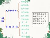 鲁科版（五四制）生物八年级上册 第七单元第一章 动物的主要类群复习课件