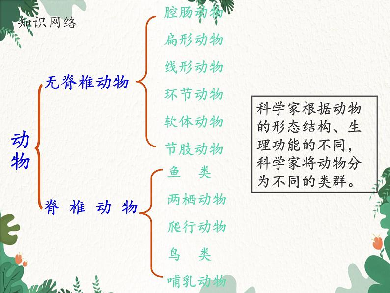 鲁科版（五四制）生物八年级上册 第七单元第一章 动物的主要类群复习课件第2页