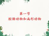 鲁科版（五四制）生物八年级上册 第七单元第一章 动物的主要类群复习课件