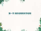 鲁科版（五四制）生物八年级上册 第七单元第一章第一课时第一节线形动物和环节动物课件