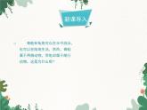 鲁科版（五四制）生物八年级上册 第七单元第一章第二课时第五节两栖类和爬行类课件