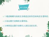 鲁科版（五四制）生物八年级上册 第七单元第一章第二课时第五节两栖类和爬行类课件