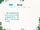 鲁科版（五四制）生物八年级上册 第七单元第一章第二课时第五节两栖类和爬行类课件