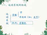 鲁科版（五四制）生物八年级上册 第七单元第二章 动物的运动和行为复习课件