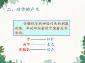 鲁科版（五四制）生物八年级上册 第七单元第二章 动物的运动和行为复习课件