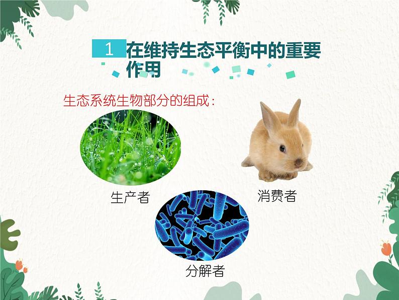 鲁科版（五四制）生物八年级上册 第七单元第三章第一节动物在自然界中的作用课件05