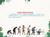 鲁科版（五四制）生物八年级上册 第七单元第三章第二节动物与人类生活的关系课件