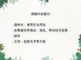 鲁科版（五四制）生物八年级上册 第七单元第三章第二节动物与人类生活的关系课件