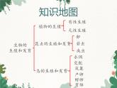 鲁科版（五四制）生物八年级下册 第八单元第一章生物的生殖和发育复习课件