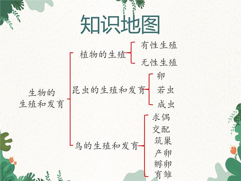 鲁科版（五四制）生物八年级下册 第八单元第一章生物的生殖和发育复习课件第2页