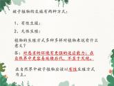 鲁科版（五四制）生物八年级下册 第八单元第一章生物的生殖和发育复习课件