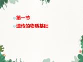 鲁科版（五四制）生物八年级下册 第八单元第二章 生物的遗传和变异复习课件