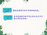 鲁科版（五四制）生物八年级下册 第八单元第二章 生物的遗传和变异复习课件