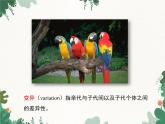 鲁科版（五四制）生物八年级下册 第八单元第二章第一节遗传的物质基础课件