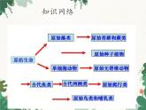 鲁科版（五四制）生物八年级下册 第八单元第三章生命的进化复习课件
