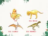 鲁科版（五四制）生物八年级下册 第八单元第三章第三节生物进化的历程课件