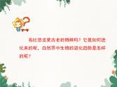 鲁科版（五四制）生物八年级下册 第八单元第三章第三节生物进化的历程课件