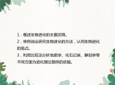 鲁科版（五四制）生物八年级下册 第八单元第三章第三节生物进化的历程课件