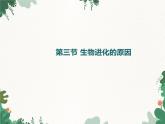 鲁科版（五四制）生物八年级下册 第八单元第三章第三节生物进化的原因课件