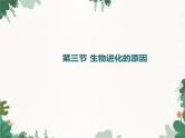 鲁科版（五四制）生物八年级下册 第八单元第三章第三节生物进化的原因课件