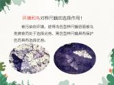 鲁科版（五四制）生物八年级下册 第八单元第三章第三节生物进化的原因课件