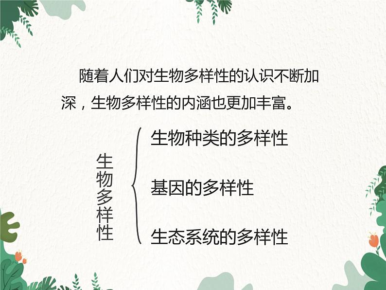 鲁科版（五四制）生物八年级下册 第九单元第二章第一节认识生物的多样性课件第5页