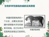 鲁科版（五四制）生物八年级下册 第九单元第二章第二节保护生物的多样性课件