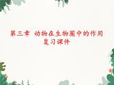 鲁科版（五四制）生物八年级上册 第七单元第三章 动物在生物圈中的作用复习课件