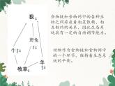 鲁科版（五四制）生物八年级上册 第七单元第三章 动物在生物圈中的作用复习课件