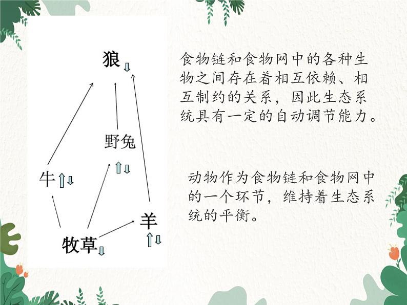 鲁科版（五四制）生物八年级上册 第七单元第三章 动物在生物圈中的作用复习课件第5页