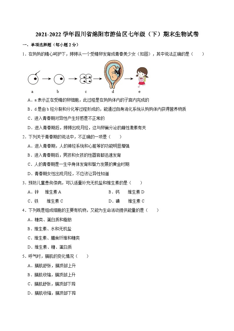 四川省绵阳市游仙区2021-2022学年七年级下学期期末生物试卷01