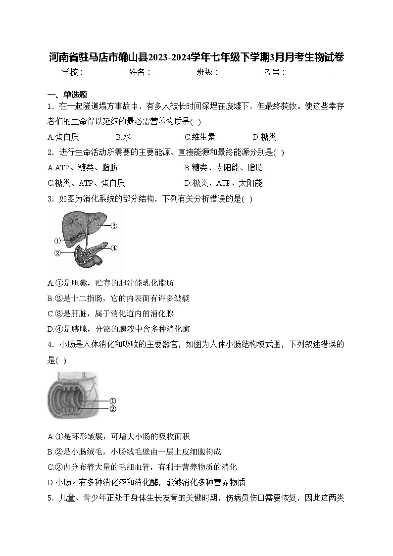 河南省驻马店市确山县2023-2024学年七年级下学期3月月考生物试卷(含答案)第1页