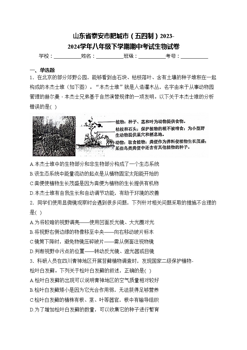 山东省泰安市肥城市（五四制）2023-2024学年八年级下学期期中考试生物试卷(含答案)第1页