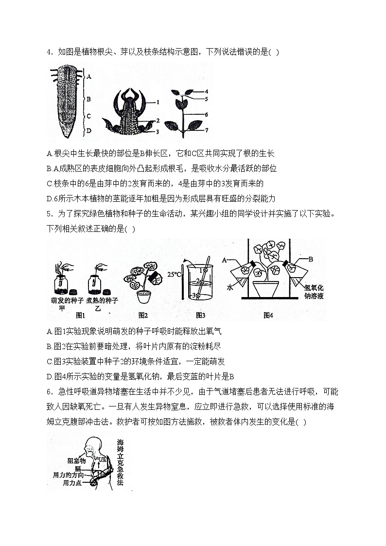 山东省泰安市肥城市（五四制）2023-2024学年八年级下学期期中考试生物试卷(含答案)第2页