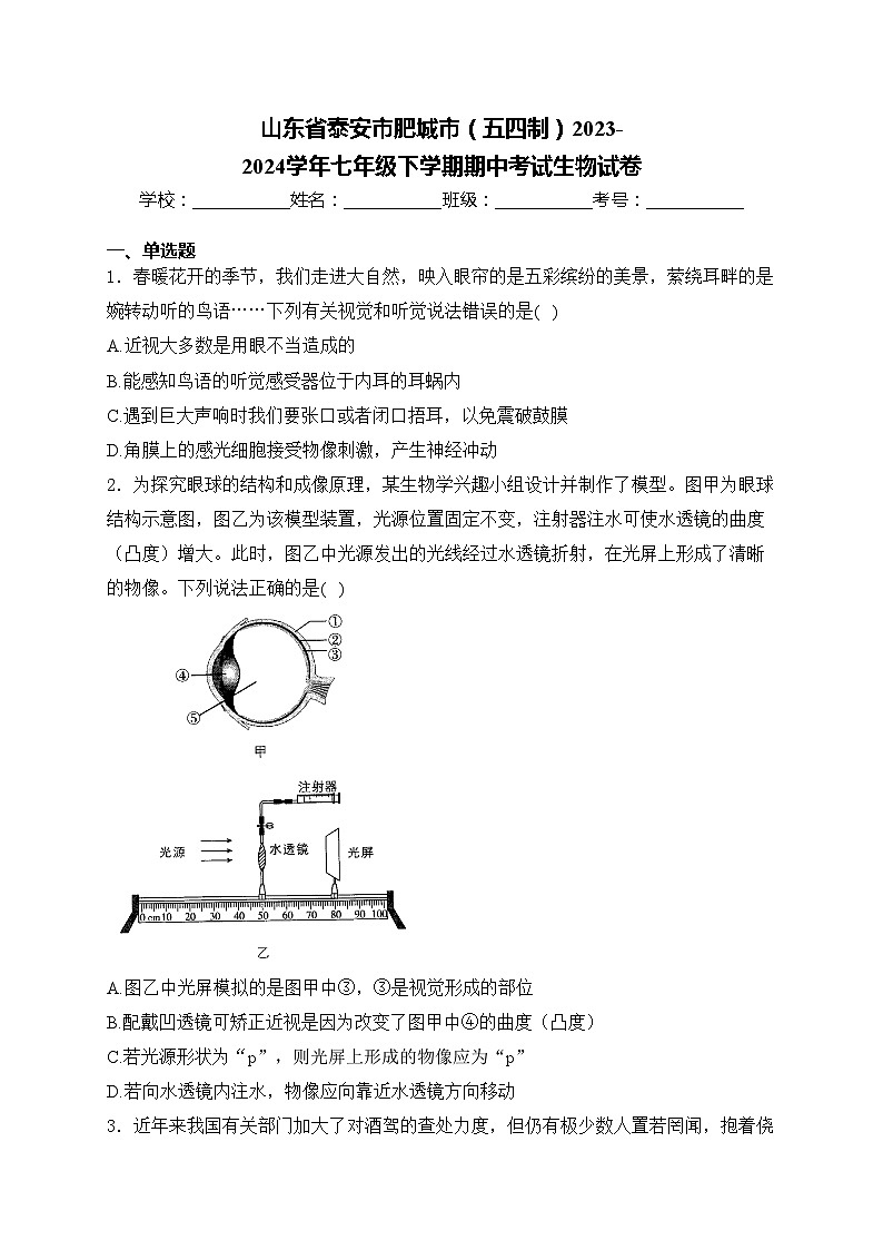 山东省泰安市肥城市（五四制）2023-2024学年七年级下学期期中考试生物试卷(含答案)01