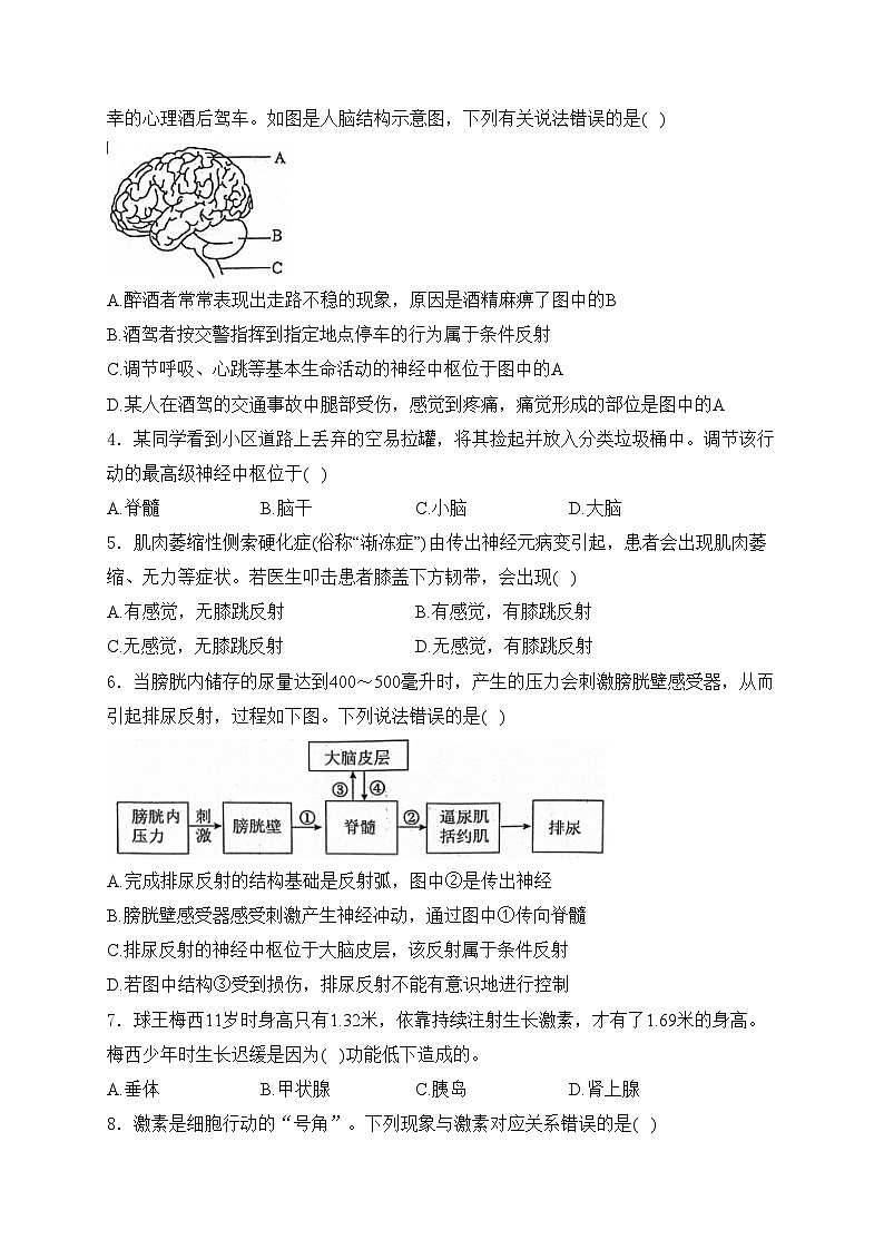 山东省泰安市肥城市（五四制）2023-2024学年七年级下学期期中考试生物试卷(含答案)02