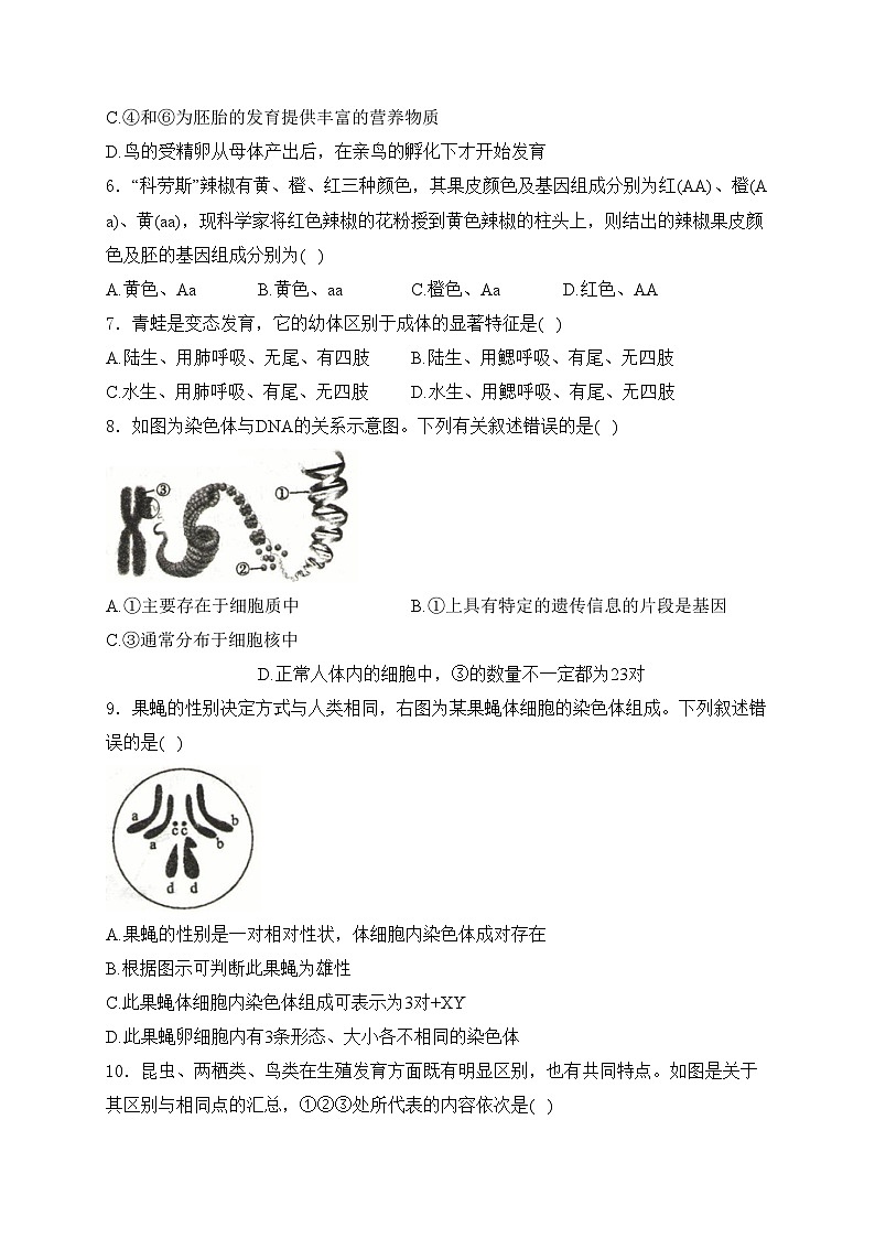 山西省临汾市部分学校2023-2024学年八年级下学期素养形成第一次能力训练生物试卷(含答案)第2页