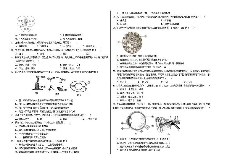2024年中考生物第三次模拟考试（全国卷）02