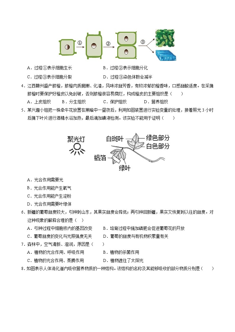 2024年中考生物第三次模拟考试（四川成都卷）02