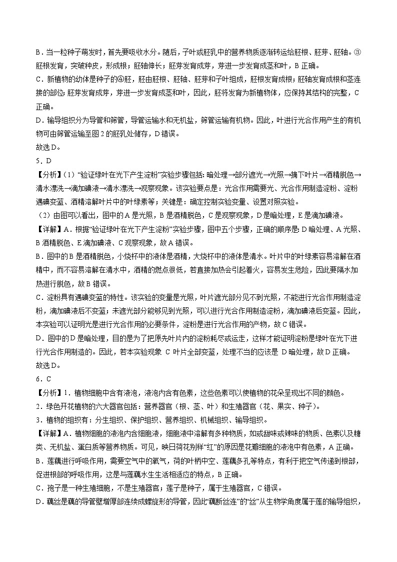 2024年中考生物第三次模拟考试（广东省卷）03