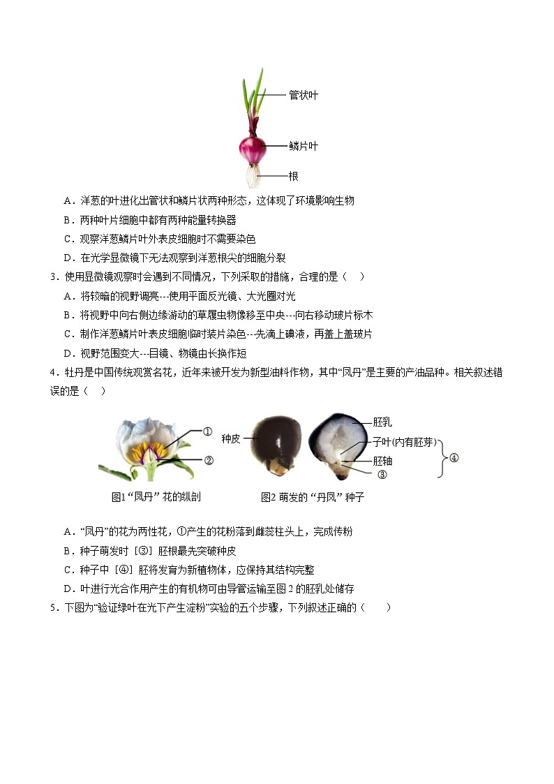 2024年中考生物第三次模拟考试（广东省卷）02