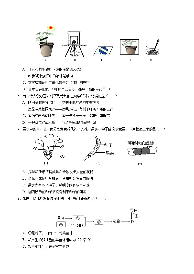2024年中考生物第三次模拟考试（广东省卷）03