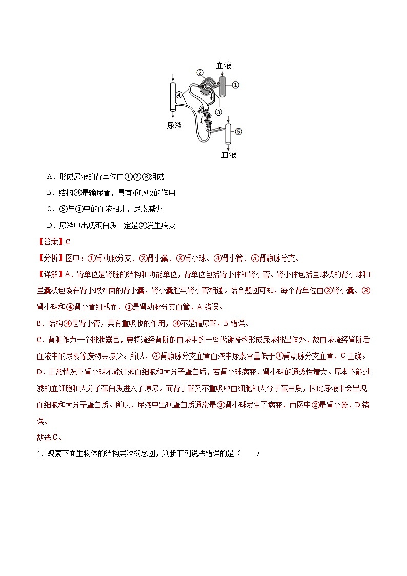 2024年中考生物第三次模拟考试（广西卷）03