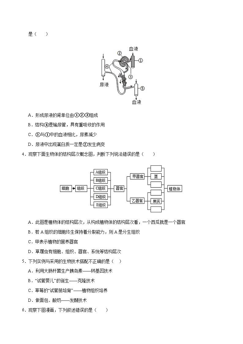 2024年中考生物第三次模拟考试（广西卷）02