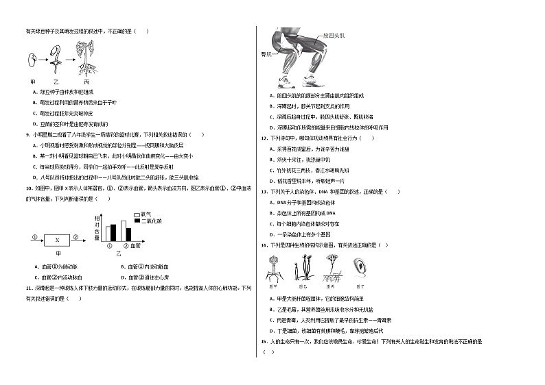 2024年中考生物第三次模拟考试（河南卷）02