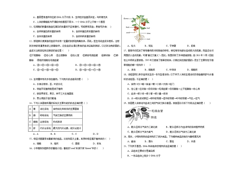生物（海南卷）（考试版A3）第2页