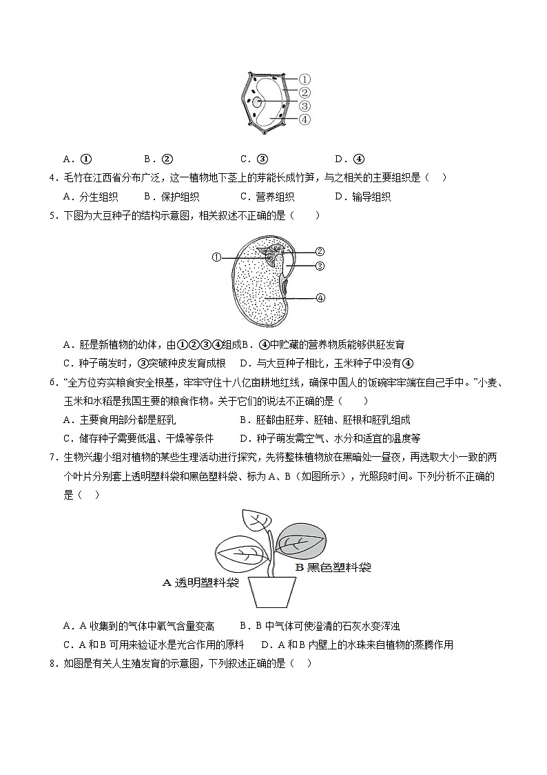 生物（重庆卷）（考试版A4）第2页