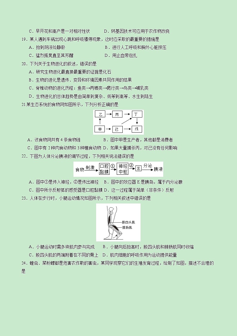 2024年中考生物押题预测卷01（福建卷）-（含考试版、答案、解析和答题卡）03