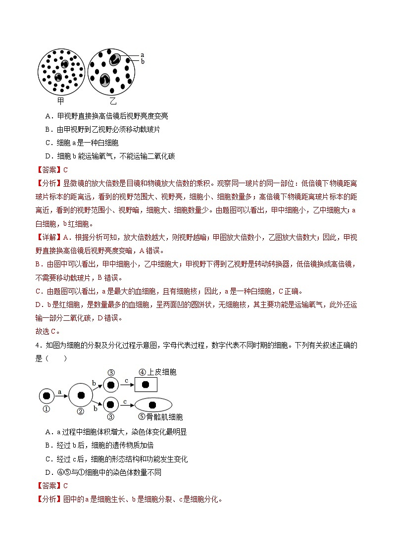 2024年中考生物押题预测卷02（安徽卷）-（含考试版、答案、解析和答题卡）03